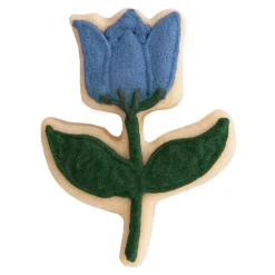 Städter Ausstecher Tulpe